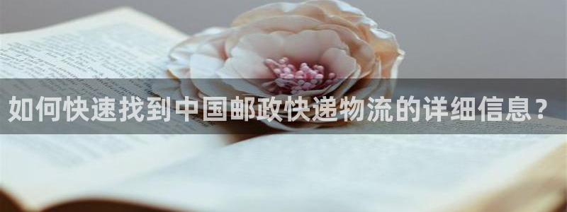 豪门国际加拿大在线预测：如何快速找到