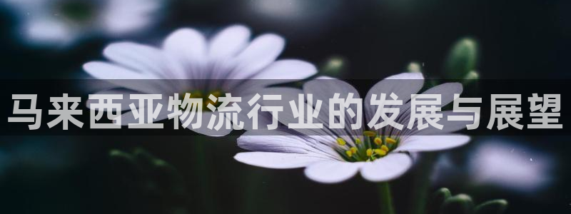 豪门国际cn：马来西亚物流行业的发展