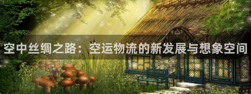 豪门国际APP是干什么的：空中丝绸之