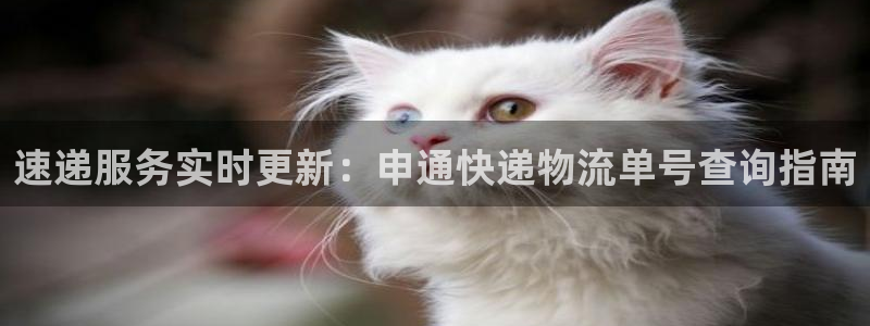 豪门国际口内径是多大