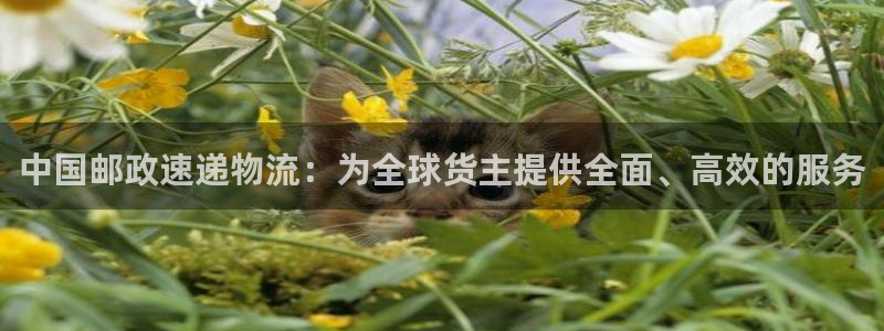 豪门国际初始资金密码是什么：中国邮政速递物流：为全球货主提供