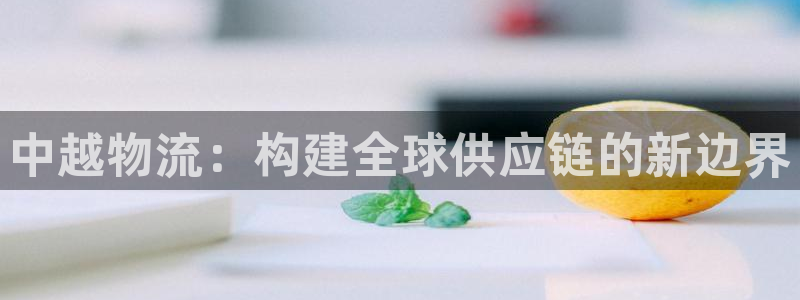 豪门国际是正规软件吗：中越物流：构建