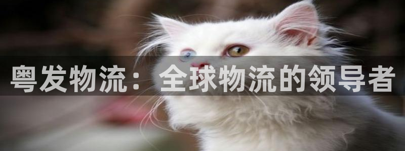 豪门国际注册链接教程：粤发物流：全球