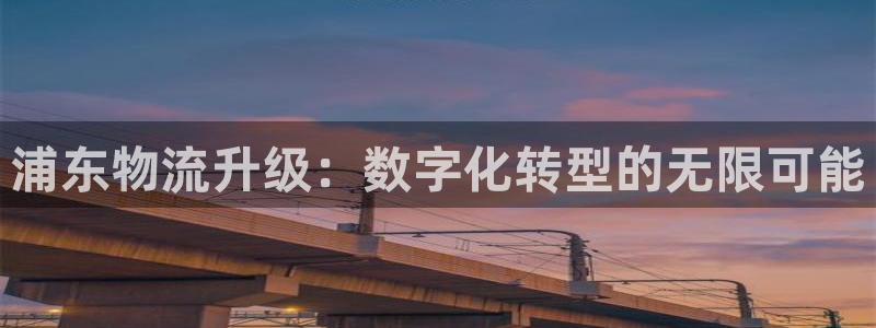 豪门国际新用户怎么注册：浦东物流升级