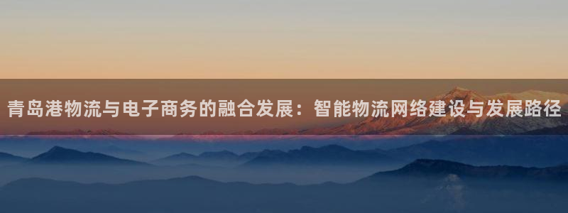 豪门国际注册送：青岛港物流与电子商务