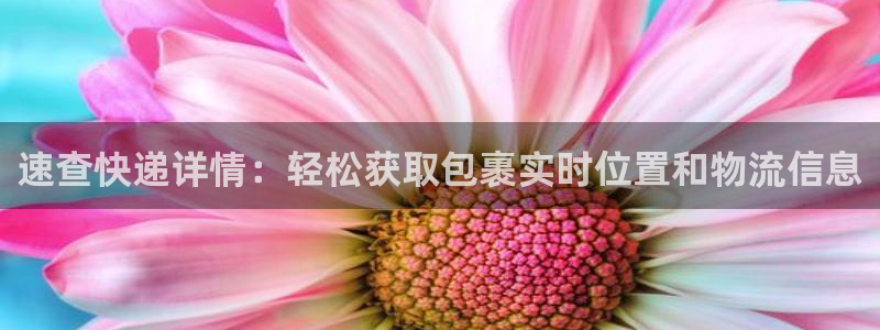 豪门国际能不能退：速查快递详情：轻松获取包裹实时位置和物流信