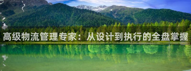 豪门国际模拟：高级物流管理专家：从设