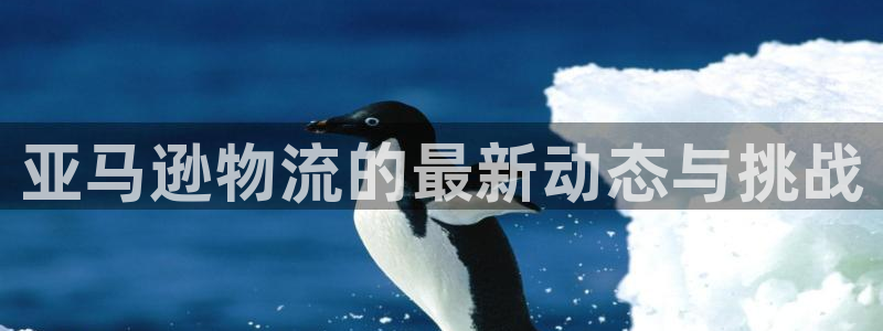 豪门国际下载链接是多少：亚马逊物流的