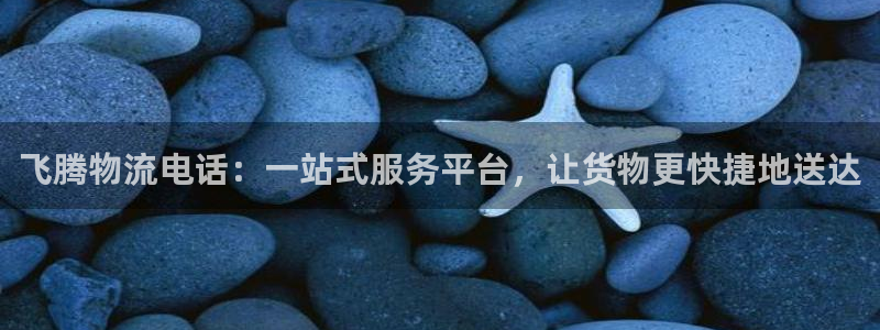 豪门国际怎么注册账号和密码：飞腾物流