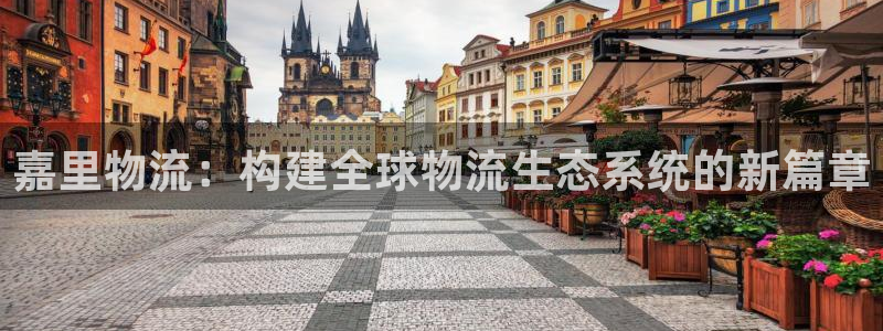 豪门国际充值不处理：嘉里物流：构建全