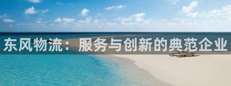 豪门国际怎么注册：东风物流：服务与创