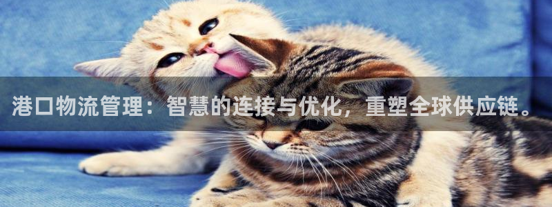 豪门国际黑款：港口物流管理：智慧的连
