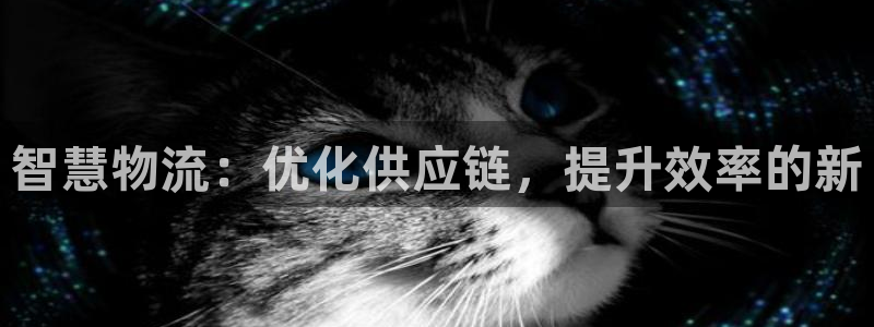 豪门国际aPP退款：智慧物流：优化供