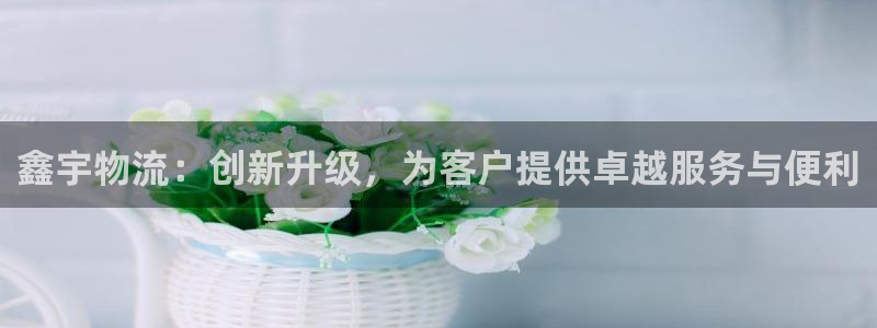 豪门国际ip被限制怎么解决：鑫宇物流