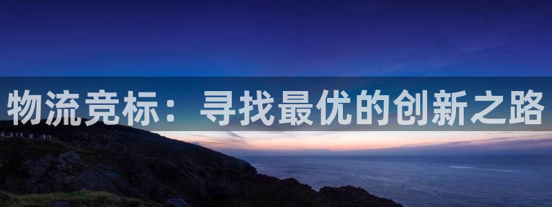 豪门国际取保：物流竞标：寻找最优的创