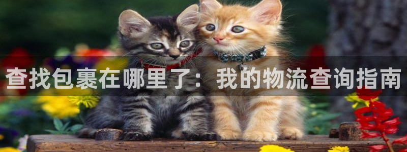 豪门国际官网入口o：查找包裹在哪里了