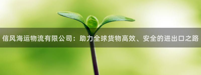 豪门国际游戏链接：信风海运物流有限公司：助力全球货物高效、安