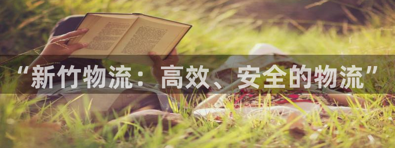 豪门国际黑款：“新竹物流：高效、安全