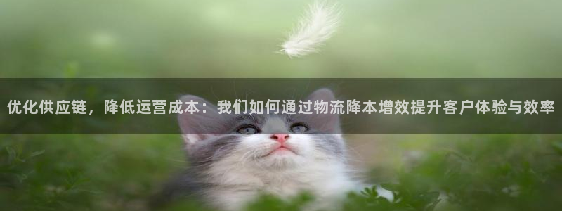 豪门国际退款教程：优化供应链，降低运